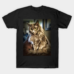 Grey Green Eyed Beauty T-Shirt